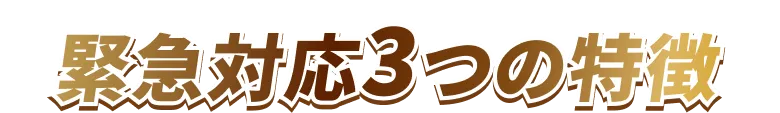 緊急時に強みとなる対応ポイントを三つに整理して紹介するセクションの見出し
    